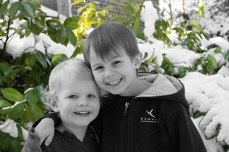 clem_rl_buisson vert.jpg